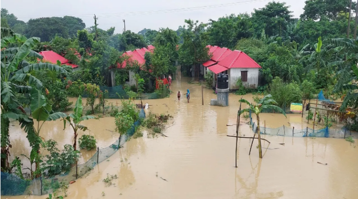 শেরপুর-ময়মনসিংহ-নেত্রকোনা এখনো পানিবন্দি। ছবি : সংগৃহীত